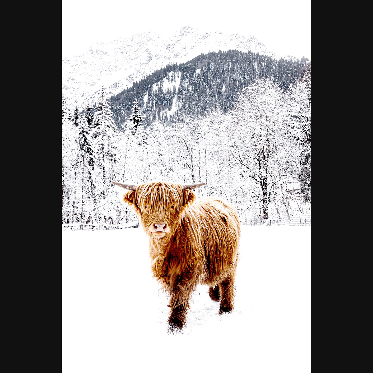 lbp/products/lbp-00016-allgaeu-highlands-1-201231