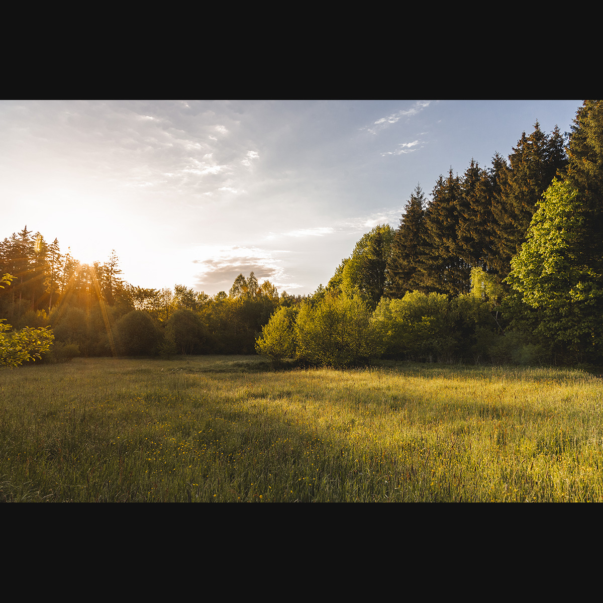 lbp/products/lbp-00032-fruehlingsmorgen-210528