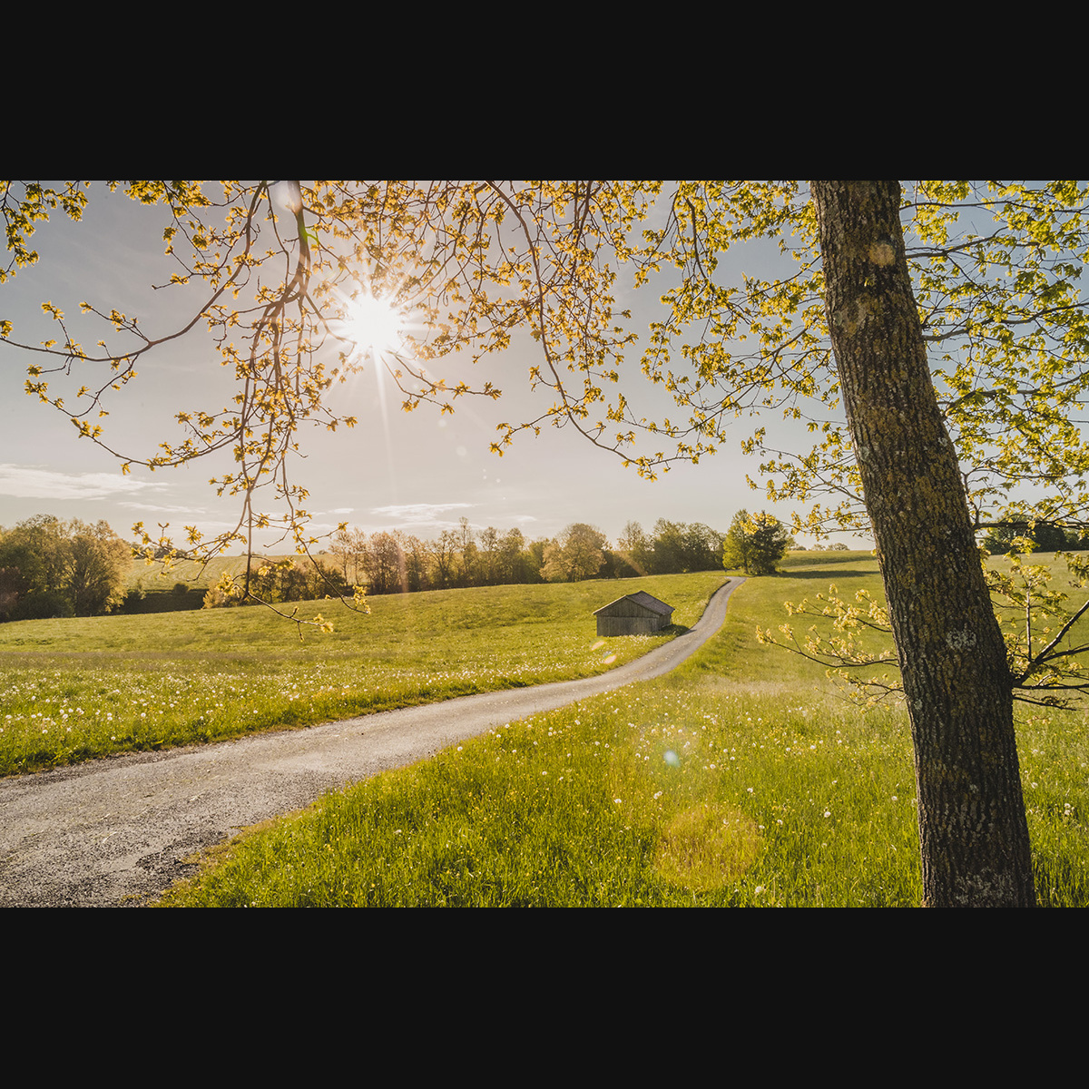 lbp/products/lbp-00034-der-weg-210528