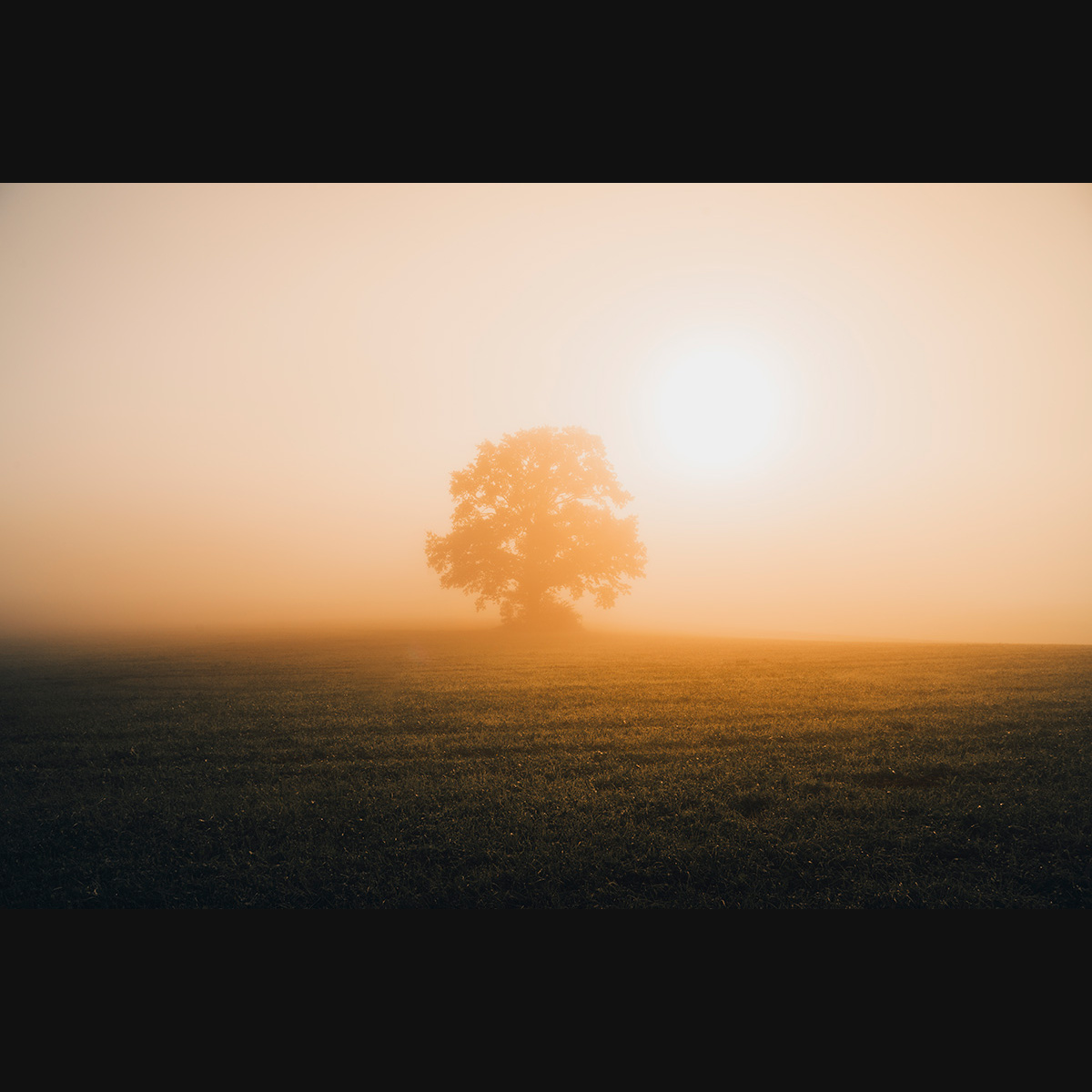 lbp/products/lbp-00063-herbstmorgen-240920