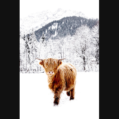 lbp/products/lbp-00016-allgaeu-highlands-1-201231