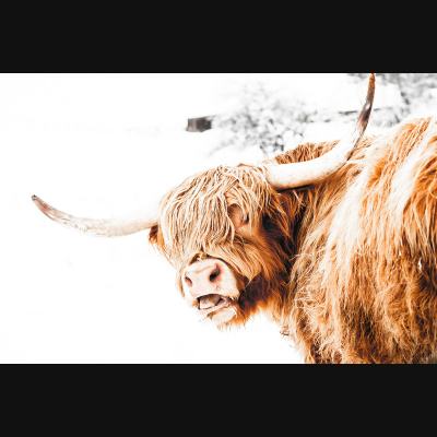 lbp/products/lbp-00017-allgaeu-highlands-2-230122