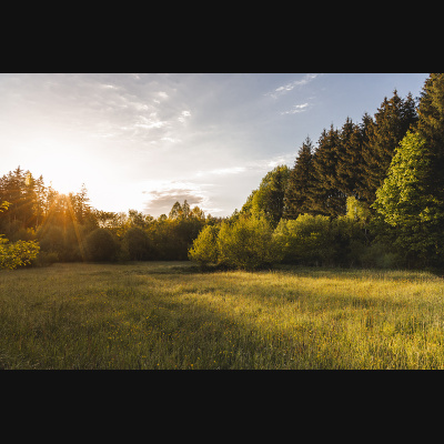 lbp/products/lbp-00032-fruehlingsmorgen-210528