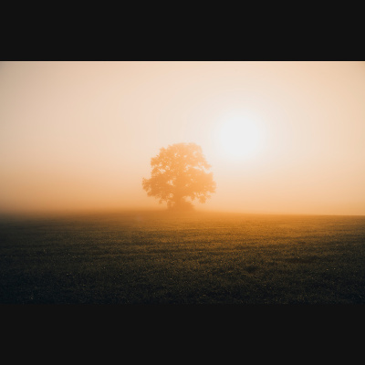 lbp/products/lbp-00063-herbstmorgen-240920