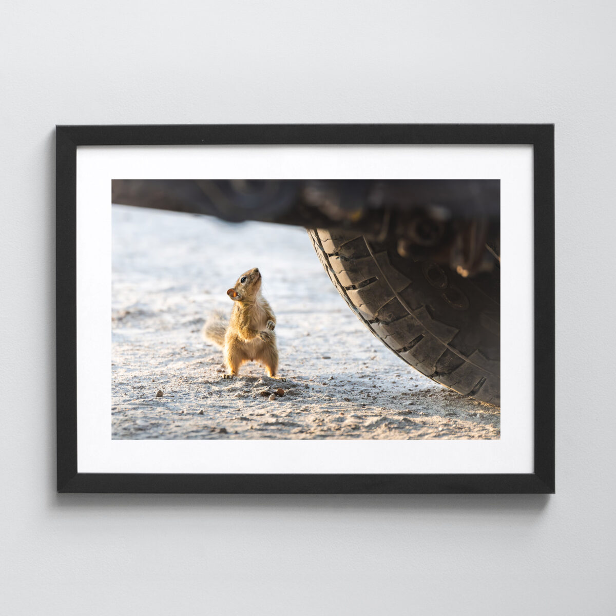 Ausgewählte Naturaufnahmen als hochwertige Prints withlothar - Motiv "Nimm mich mit"