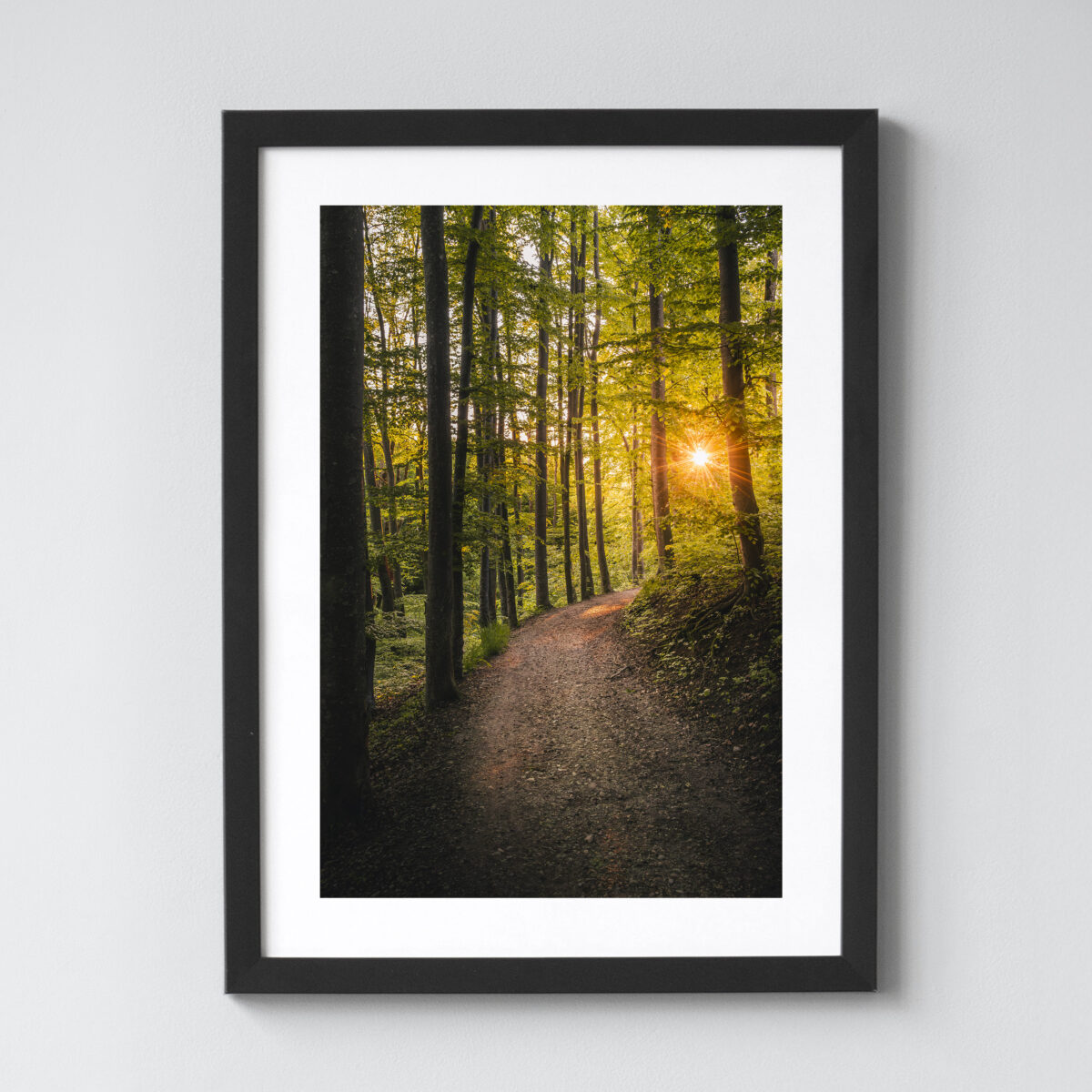 Ausgewählte Naturaufnahmen als hochwertige Prints withlothar - Motiv "Waldspaziergang"