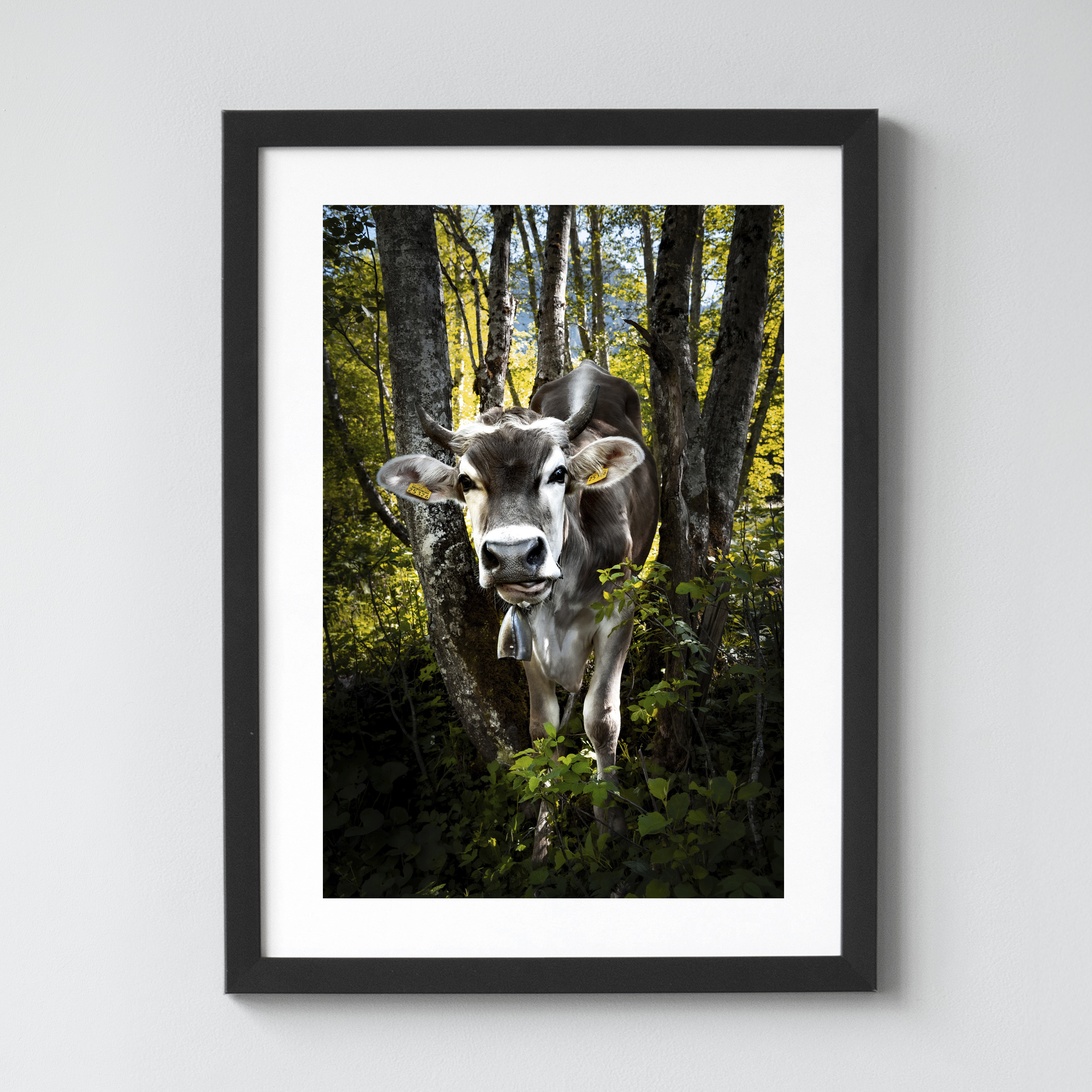 Ausgewählte Naturaufnahmen als hochwertige Prints withlothar - Motiv "Abenteuerlustig"