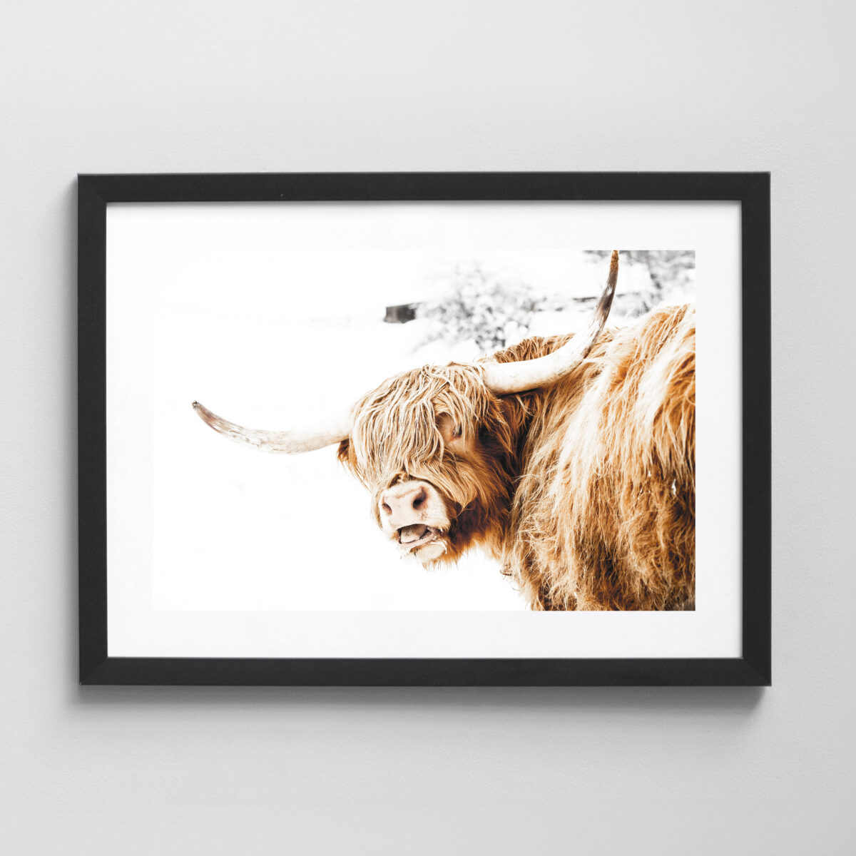 Ausgewählte Naturaufnahmen als hochwertige Prints withlothar - Motiv "Allgäu Highlands"