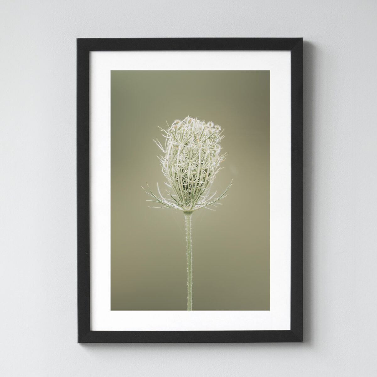 Ausgewählte Naturaufnahmen als hochwertige Prints withlothar - Motiv "Die kleinen Dinge"