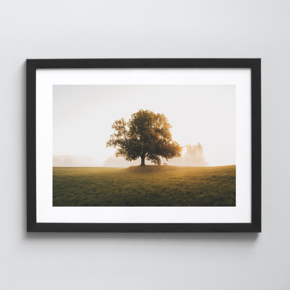 Ausgewählte Naturaufnahmen als hochwertige Prints withlothar - Motiv "Auszeit"