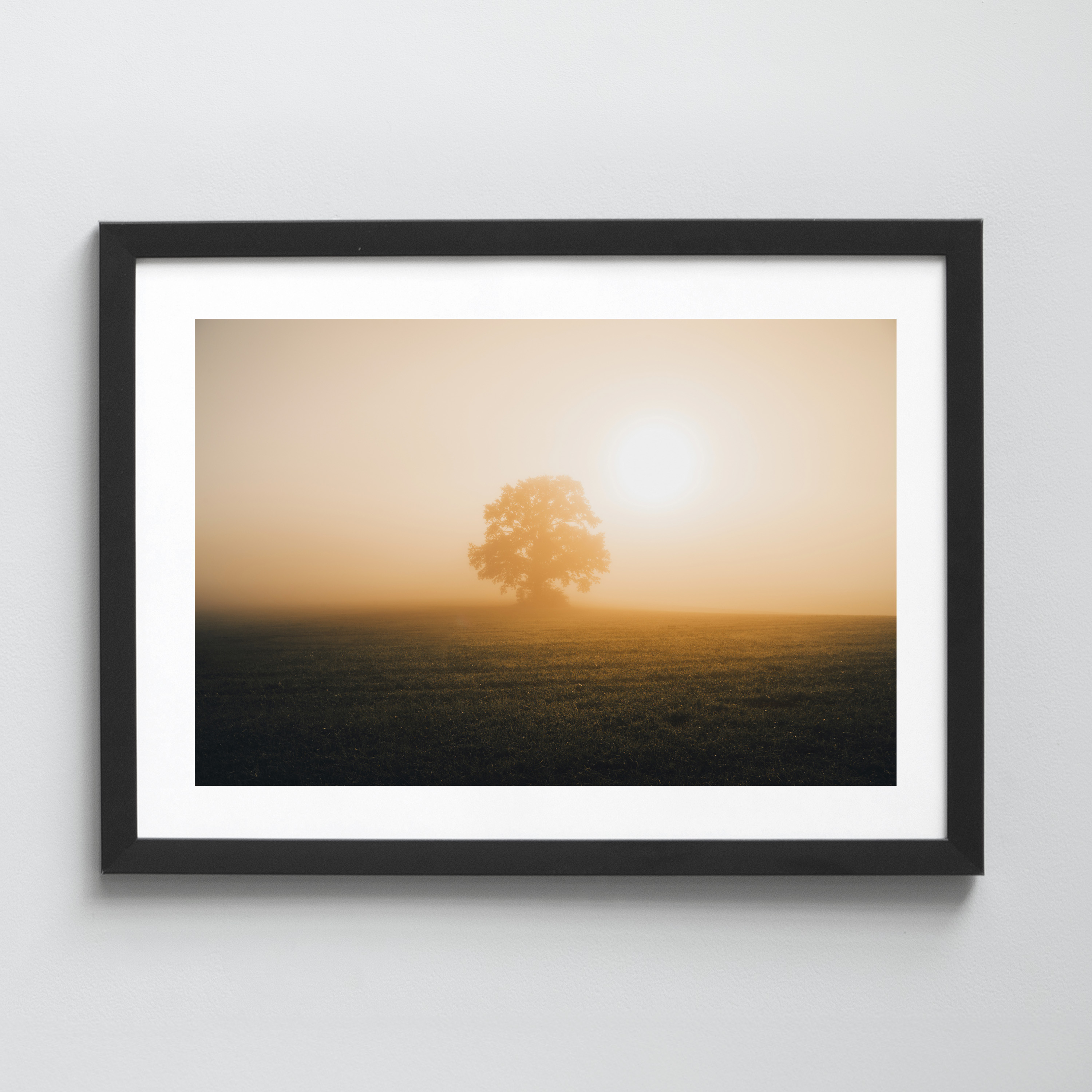 Ausgewählte Naturaufnahmen als hochwertige Prints withlothar - Motiv "Herbstmorgen"