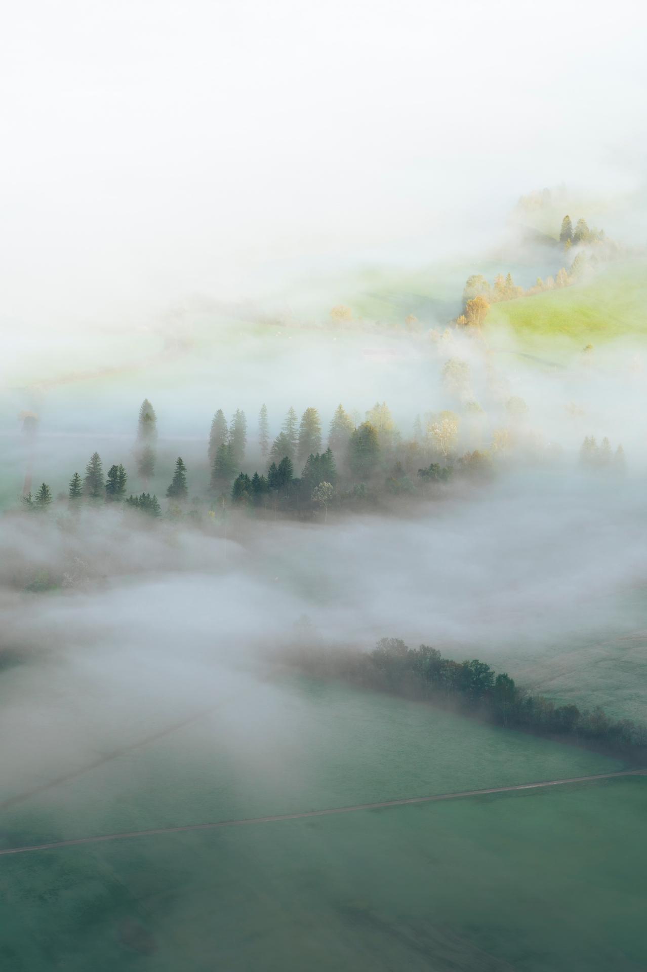 Herbstliche Morgenstimmung über Allgäuer Wiesen- und Waldlandschaft eingetaucht in märchenhaften Nebel