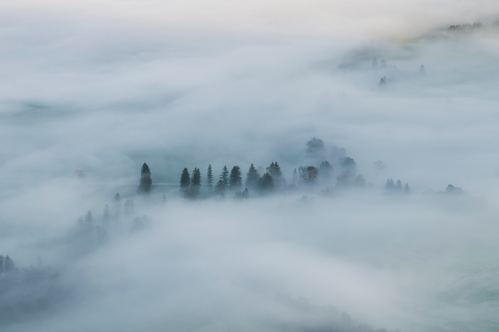 Herbstliche Morgenstimmung über Allgäuer Wiesen- und Waldlandschaft eingetaucht in ein märchenhaftes Nebelmeer