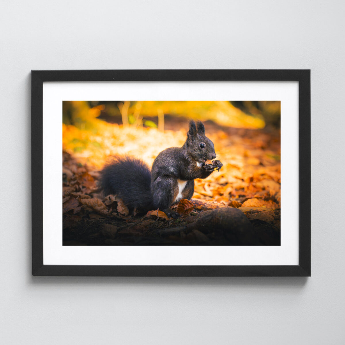 Ausgewählte Naturaufnahmen als hochwertige Prints withlothar - Motiv "Going Nuts"