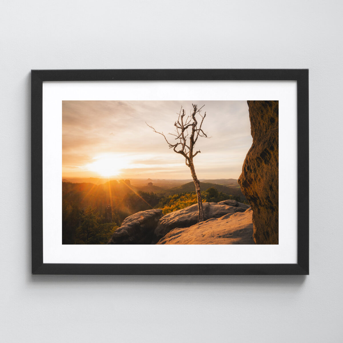 Ausgewählte Naturaufnahmen als hochwertige Prints withlothar - Motiv "Sundowner"