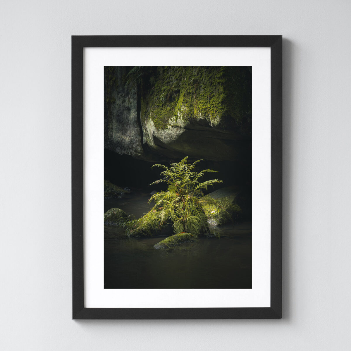 Ausgewählte Naturaufnahmen als hochwertige Prints withlothar - Motiv "Verzaubert"